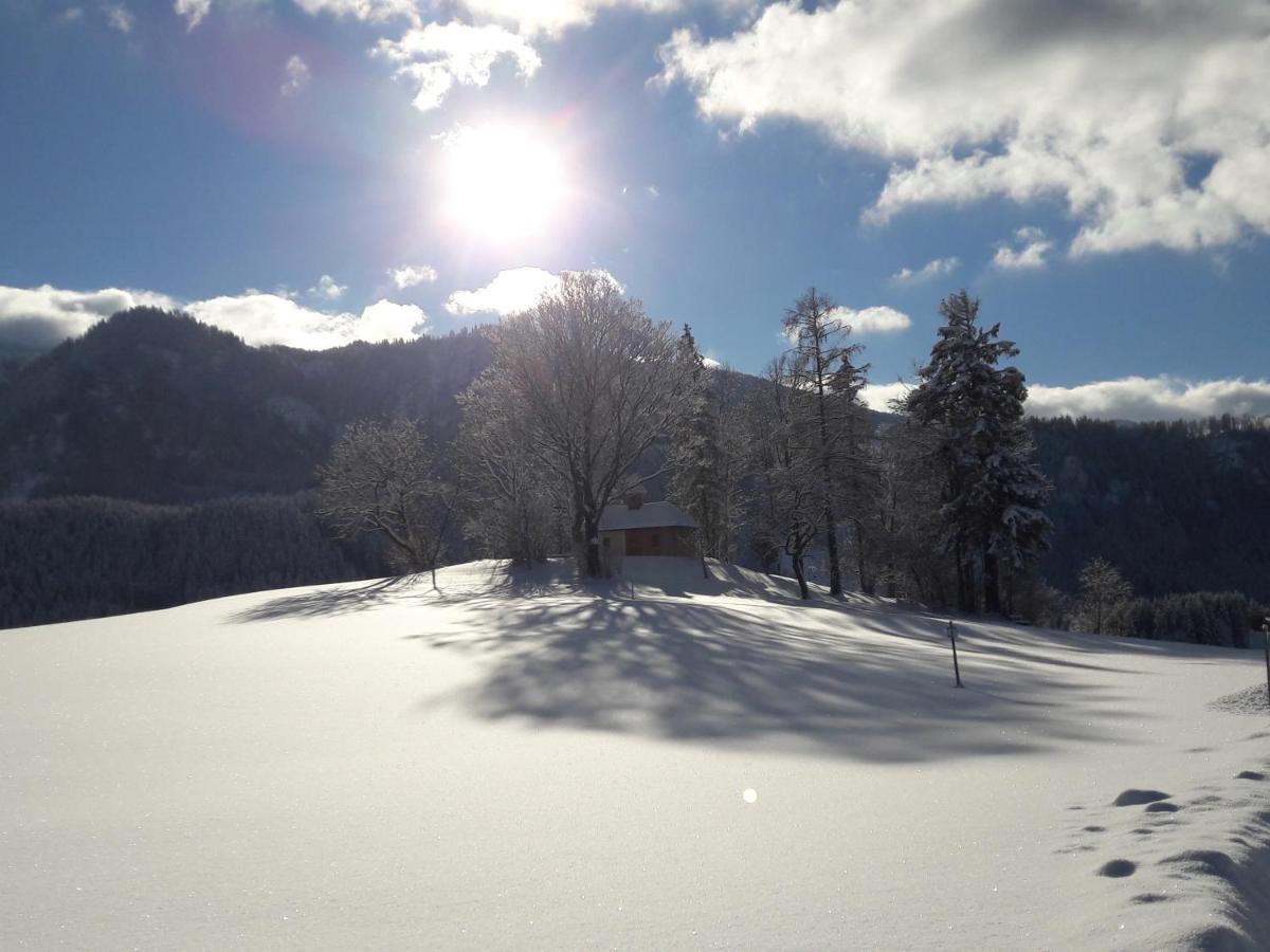 Biobauernhof Obereck Apartment Gostling an der Ybbs Bagian luar foto