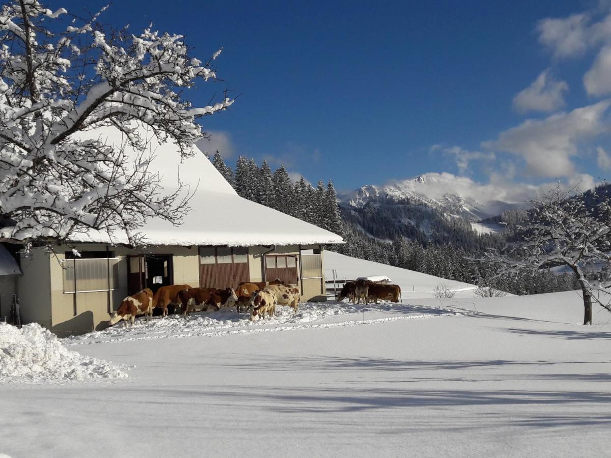 Biobauernhof Obereck Apartment Gostling an der Ybbs Bagian luar foto