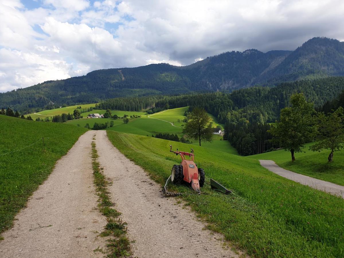 Biobauernhof Obereck Apartment Gostling an der Ybbs Bagian luar foto