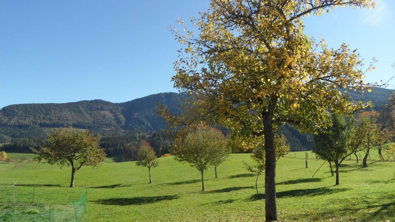 Biobauernhof Obereck Apartment Gostling an der Ybbs Bagian luar foto