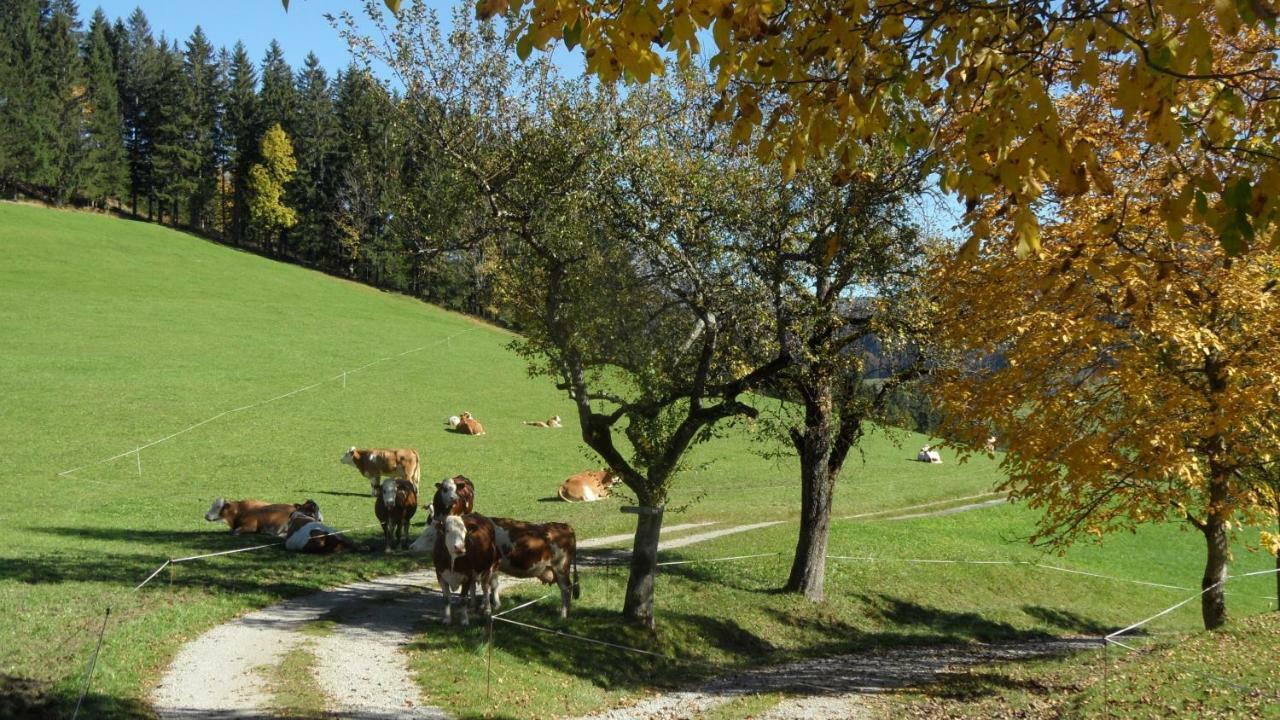 Biobauernhof Obereck Apartment Gostling an der Ybbs Bagian luar foto