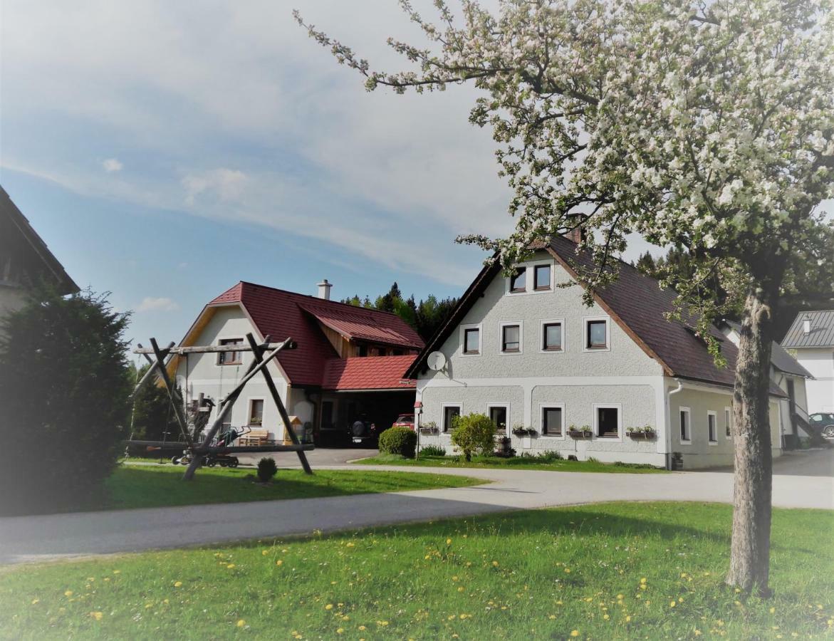 Biobauernhof Obereck Apartment Gostling an der Ybbs Bagian luar foto