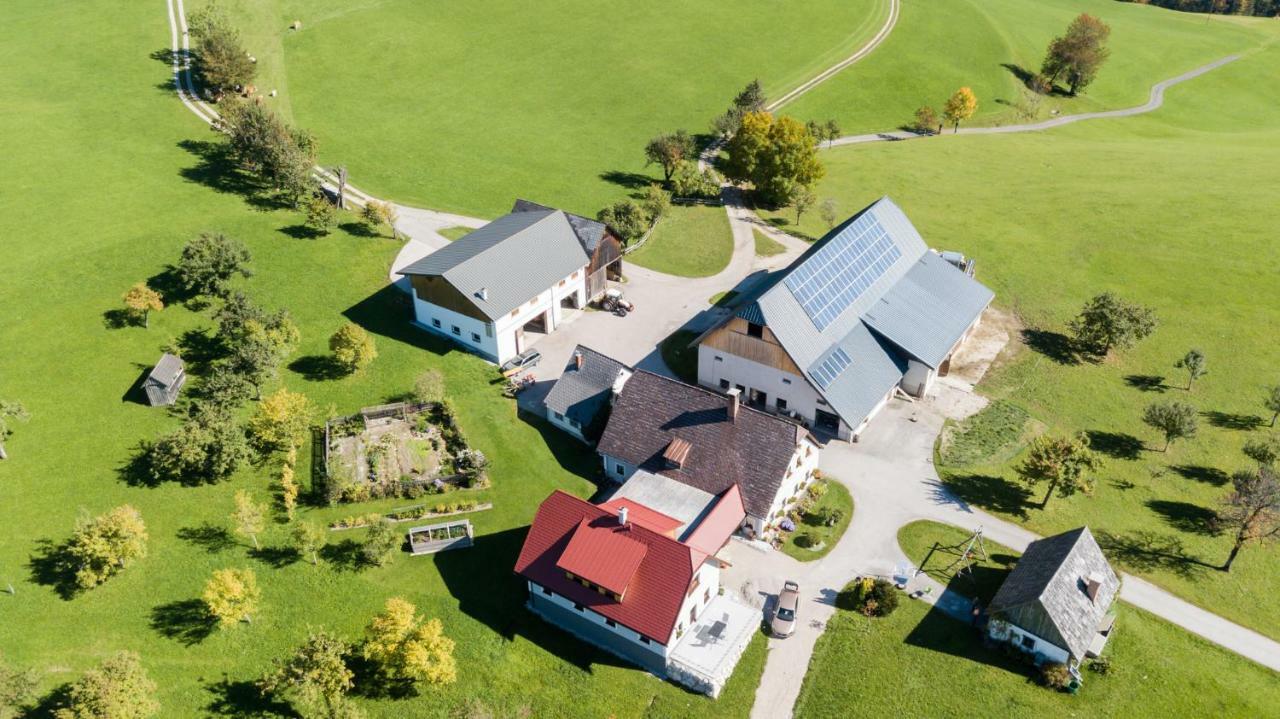 Biobauernhof Obereck Apartment Gostling an der Ybbs Bagian luar foto